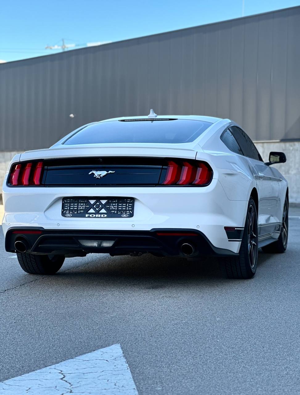   Ford Mustang   -  8